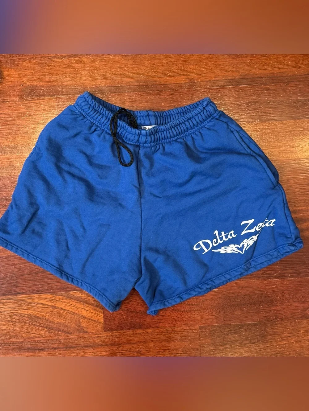 Delta Zeta DZ Sorority Blue Shorts